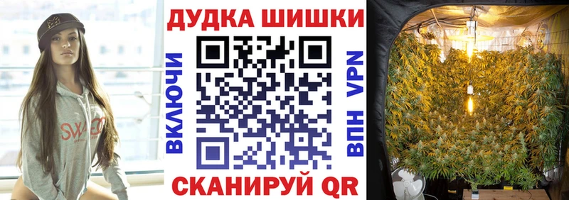 Канабис Bruce Banner  Тарко-Сале 